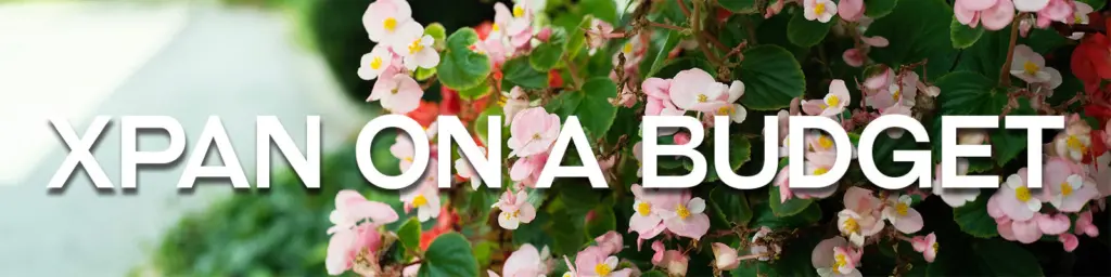 xpan on a budget 164 v2 8f38fef8 6a63 436a 8f96 cf287e42392b 1600x